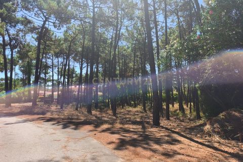 Helårsgrund i Almada, Setubal, Almada - € 1.500.000 | Ref: C0364-04875 - foto 4