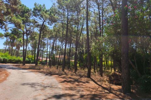 Helårsgrund i Almada, Setubal, Almada - € 1.500.000 | Ref: C0364-04875 - foto 3