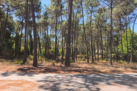 Helårsgrund i Almada, Setubal, Almada - € 1.500.000 | Ref: C0364-04875 - foto 5