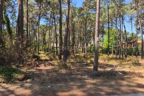Helårsgrund i Almada, Setubal, Almada - € 1.500.000 | Ref: C0364-04875 - foto 12