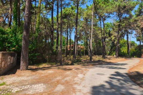 Helårsgrund i Almada, Setubal, Almada - € 1.500.000 | Ref: C0364-04875 - foto 13
