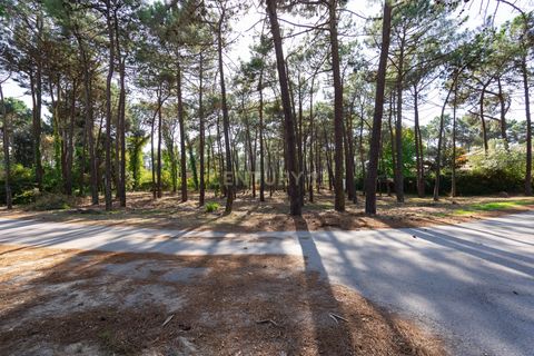 Helårsgrund i Almada, Setubal, Almada - € 1.500.000 | Ref: C0364-04875 - foto 16