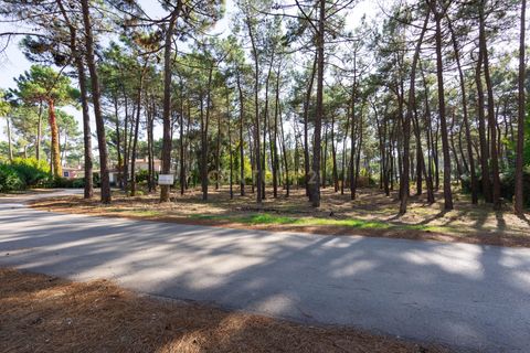 Helårsgrund i Almada, Setubal, Almada - € 1.500.000 | Ref: C0364-04875 - foto 17