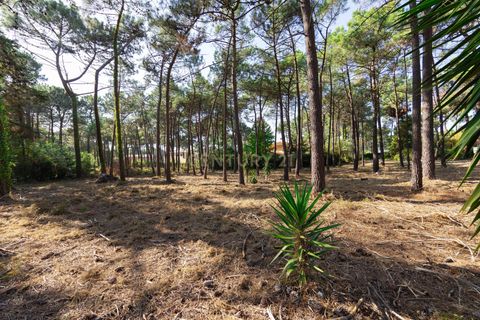 Helårsgrund i Almada, Setubal, Almada - € 1.500.000 | Ref: C0364-04875 - foto 15