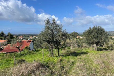 Helårsgrund i Abrantes, Santarem, Abrantes - € 19.000 | Ref: C0364-04802 - foto 2