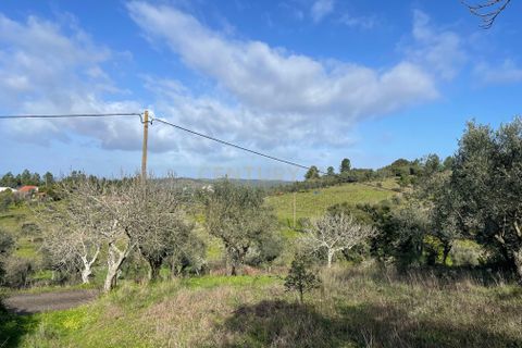 Helårsgrund i Abrantes, Santarem, Abrantes - € 19.000 | Ref: C0364-04802 - foto 7