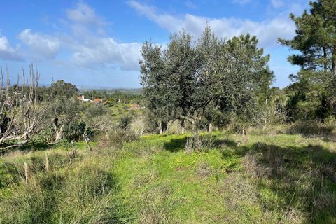 Helårsgrund i Abrantes, Santarem, Abrantes - € 19.000 | Ref: C0364-04802 - foto 8
