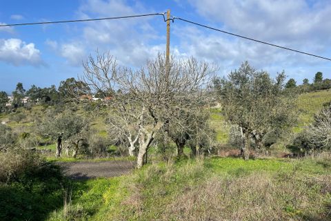 Helårsgrund i Abrantes, Santarem, Abrantes - € 19.000 | Ref: C0364-04802 - foto 9