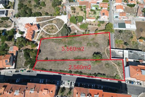 Helårsgrund i Sintra, Lisbon, Sintra - € 1.000.000 | Ref: C0364-02998 - foto 3