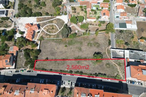 Helårsgrund i Sintra, Lisbon, Sintra - € 1.000.000 | Ref: C0364-02998 - foto 5