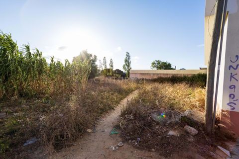 Helårsgrund i Sintra, Lisbon, Sintra - € 1.000.000 | Ref: C0364-02998 - foto 21