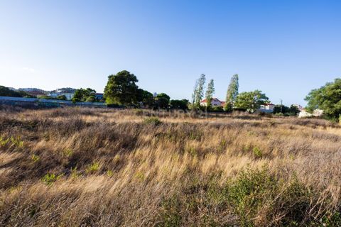 Helårsgrund i Sintra, Lisbon, Sintra - € 1.000.000 | Ref: C0364-02998 - foto 27