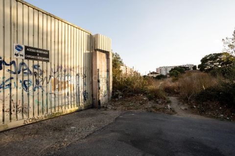Helårsgrund i Sintra, Lisbon, Sintra - € 1.400.000 | Ref: C0364-02999 - foto 17