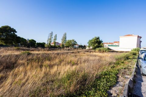 Helårsgrund i Sintra, Lisbon, Sintra - € 1.400.000 | Ref: C0364-02999 - foto 35
