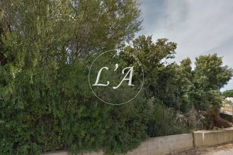 Terra a Calvi, Haute-Corse, Calvi - € 430.000 | Ref: CAL3M000818FP - foto 2