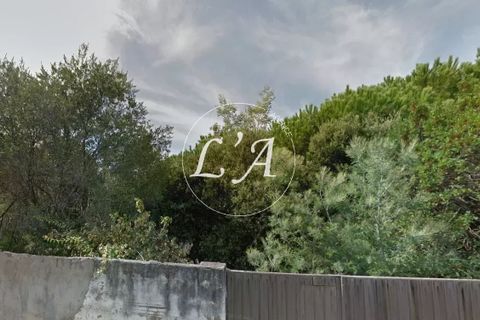 Terra a Calvi, Haute-Corse, Calvi - € 430.000 | Ref: CAL3M000818FP - foto 3