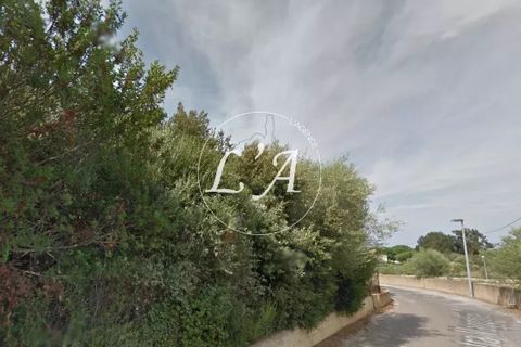 Terra a Calvi, Haute-Corse, Calvi - € 430.000 | Ref: CAL3M000818FP - foto 4