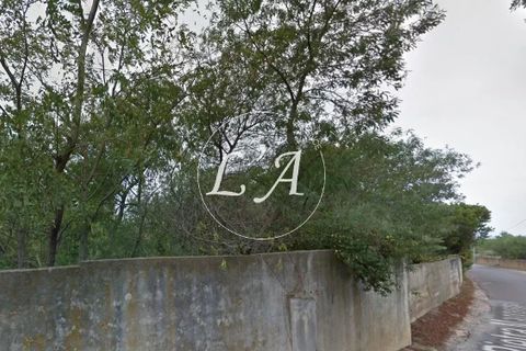 Terra a Calvi, Haute-Corse, Calvi - € 430.000 | Ref: CAL3M000818FP - foto 10
