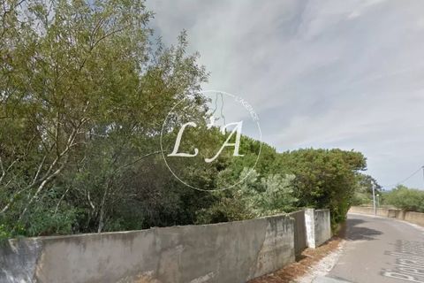 Terra a Calvi, Haute-Corse, Calvi - € 430.000 | Ref: CAL3M000818FP - foto 11