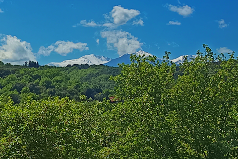 Lejlighed i Ceret, Pyrenees-Orientales, Ceret - € 169.000 | Ref: 6415VOS - foto 14
