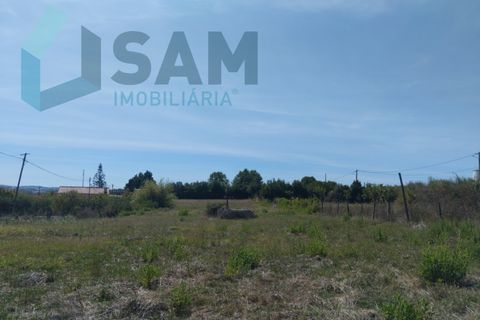 Helårsgrund i Carvoeira e Carmoes, Lisbon, Carvoeira e Carmoes - € 73.000 | Ref: TV/AR006-25 - foto 2