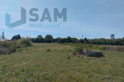 Helårsgrund i Carvoeira e Carmoes, Lisbon, Carvoeira e Carmoes - € 73.000 | Ref: TV/AR006-25 - foto 9