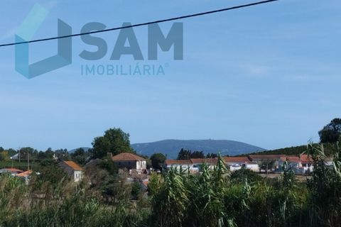 Helårsgrund i Carvoeira e Carmoes, Lisbon, Carvoeira e Carmoes - € 73.000 | Ref: TV/AR006-25 - foto 7