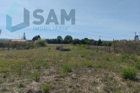 Helårsgrund i Carvoeira e Carmoes, Lisbon, Carvoeira e Carmoes - € 73.000 | Ref: TV/AR006-25 - foto 11