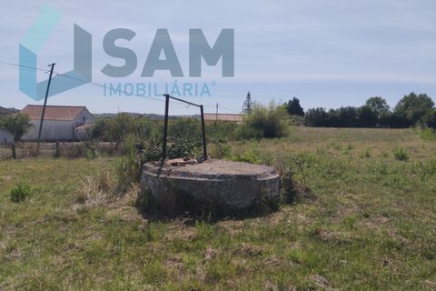 Helårsgrund i Carvoeira e Carmoes, Lisbon, Carvoeira e Carmoes - € 73.000 | Ref: TV/AR006-25 - foto 12