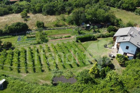 Villa a Trento, Trento, Trento - € 850.000 | Ref: Z140 - foto 11
