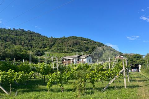 Villa a Trento, Trento, Trento - € 850.000 | Ref: Z140 - foto 15