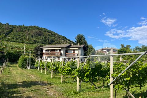 Villa a Trento, Trento, Trento - € 850.000 | Ref: Z140 - foto 16
