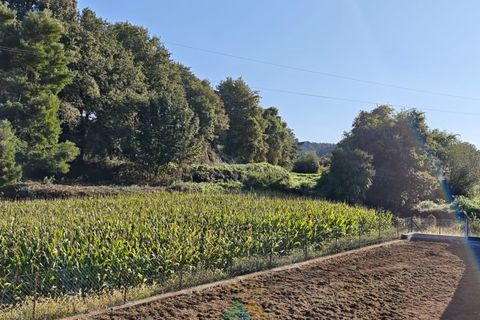 Helårsgrund i Ponte de Lima, Viana do Castelo, Ponte de Lima - € 60.000 | Ref: PTL-001-129 - foto 3