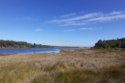 Erhvervsejendom i Vau, Leiria, Vau - € 9.900.000 | Ref: 1356-01849 - foto 11
