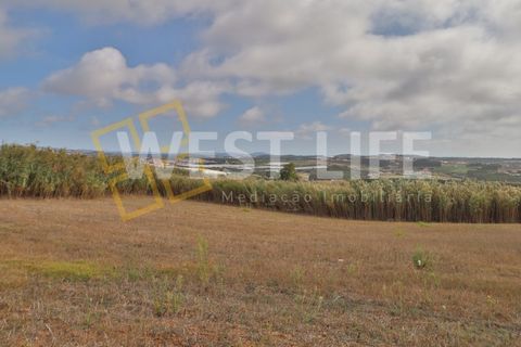 Helårsgrund i A dos Cunhados e Maceira, Lisbon, A dos Cunhados e Maceira - € 149.500 | Ref: 5808WT - foto 4