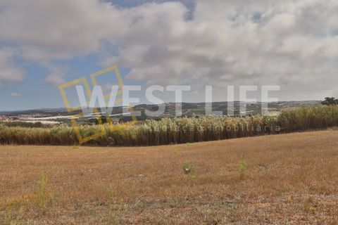 Helårsgrund i A dos Cunhados e Maceira, Lisbon, A dos Cunhados e Maceira - € 149.500 | Ref: 5808WT - foto 5
