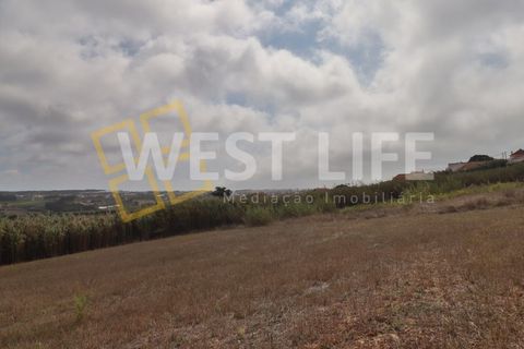 Helårsgrund i A dos Cunhados e Maceira, Lisbon, A dos Cunhados e Maceira - € 149.500 | Ref: 5808WT - foto 9