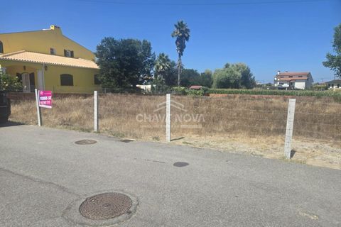 Helårsgrund i Estarreja, Aveiro, Estarreja - € 53.500 | Ref: AVR/00698 - foto 4