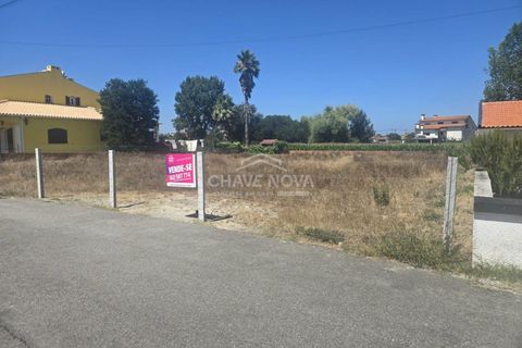 Helårsgrund i Estarreja, Aveiro, Estarreja - € 53.500 | Ref: AVR/00698 - foto 5