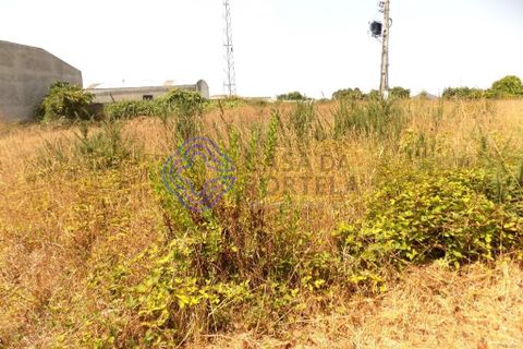 Helårsgrund i Espinho, Aveiro, Espinho - € 45.000 | Ref: 1109761 - foto 6