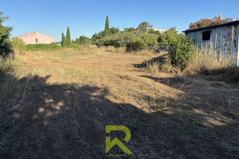 Terra a Agde, Herault, Agde - € 409.800 | Ref: 6_MAVTE930006966 - foto 2