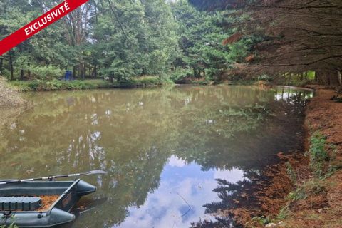 Helårsgrund i Pipriac, Ille-et-Vilaine, Pipriac - € 48.000 | Ref: 192482 - foto 5