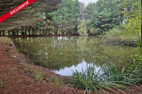 Helårsgrund i Pipriac, Ille-et-Vilaine, Pipriac - € 48.000 | Ref: 192482 - foto 6