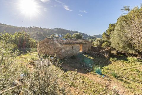 Masia a Alaro, Mallorca, Alaro - € 2.220.000 | Ref: VFA2591/13188 - foto 2