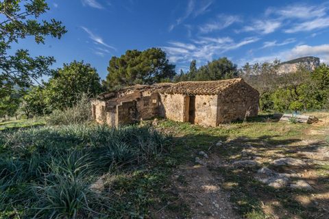 Masia a Alaro, Mallorca, Alaro - € 2.220.000 | Ref: VFA2591/13188 - foto 3