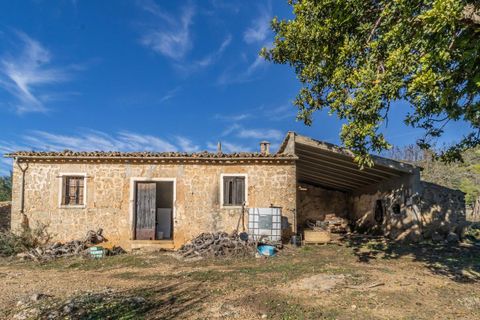 Masia a Alaro, Mallorca, Alaro - € 2.220.000 | Ref: VFA2591/13188 - foto 7