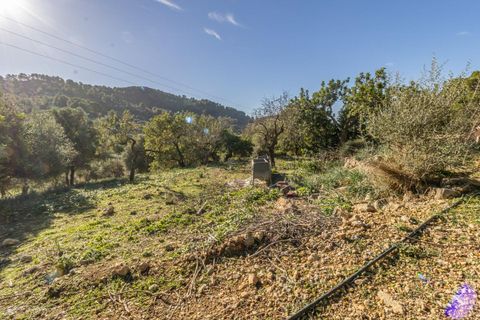 Masia a Alaro, Mallorca, Alaro - € 2.220.000 | Ref: VFA2591/13188 - foto 8