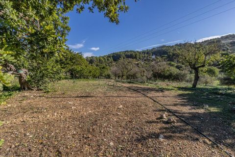Masia a Alaro, Mallorca, Alaro - € 2.220.000 | Ref: VFA2591/13188 - foto 9