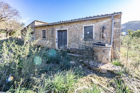Masia a Alaro, Mallorca, Alaro - € 2.220.000 | Ref: VFA2591/13188 - foto 10