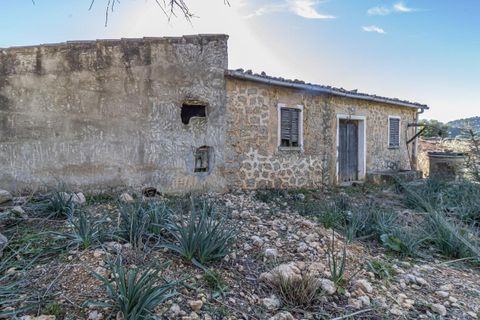 Masia a Alaro, Mallorca, Alaro - € 2.220.000 | Ref: VFA2591/13188 - foto 11